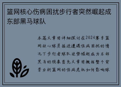 篮网核心伤病困扰步行者突然崛起成东部黑马球队